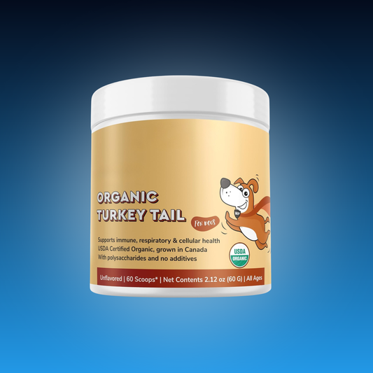 Turkey Tail Powder for Dog Lumps & Bumps