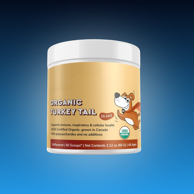 Turkey Tail Powder for Dog Lumps & Bumps