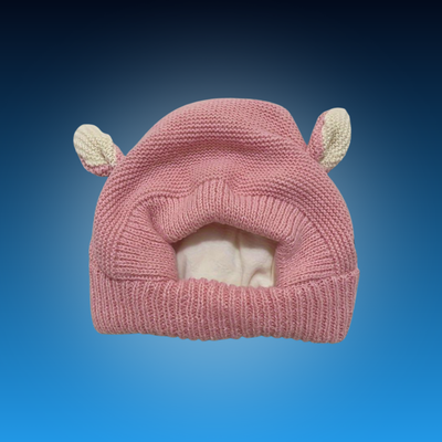 Cozy Winter Dog Earmuffs