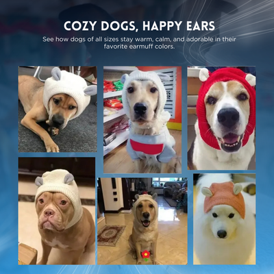 Cozy Winter Dog Earmuffs