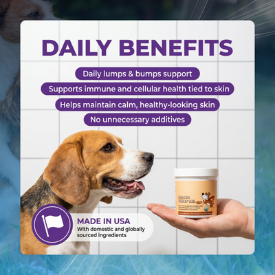 Turkey Tail Powder for Dog Lumps & Bumps
