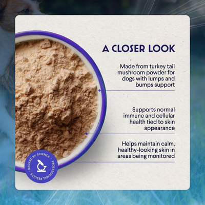 Turkey Tail Powder for Dog Lumps & Bumps