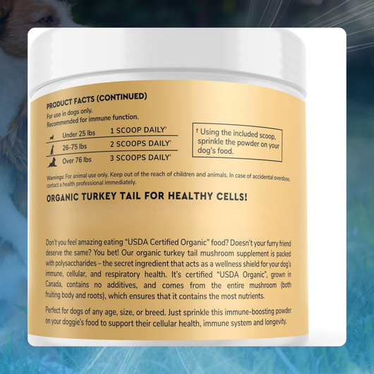 Turkey Tail Powder for Dog Lumps & Bumps