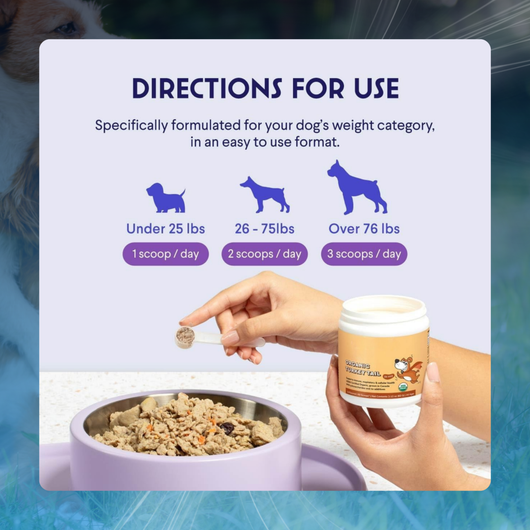 Turkey Tail Powder for Dog Lumps & Bumps