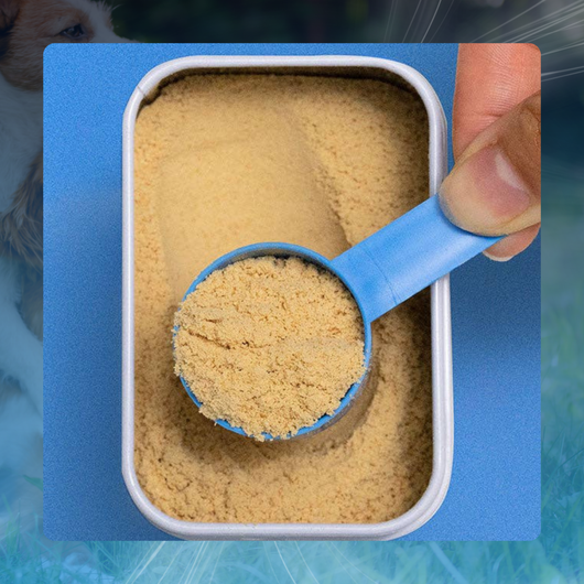 11-in-1 Dog Vitamin Powder for Overall Health