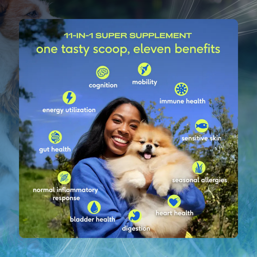 11-in-1 Dog Vitamin Powder for Overall Health