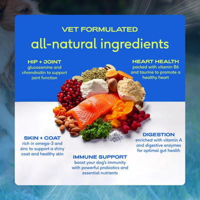 11-in-1 Dog Vitamin Powder for Overall Health