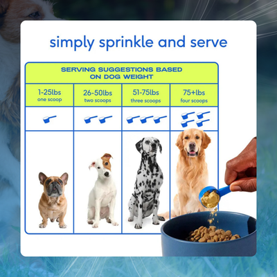 11-in-1 Dog Vitamin Powder for Overall Health