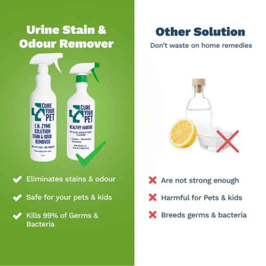 Urine Stain & Odor Remover