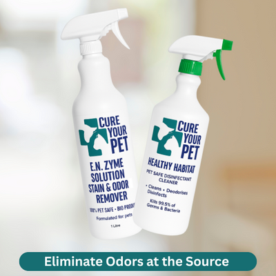 Urine Stain & Odor Remover