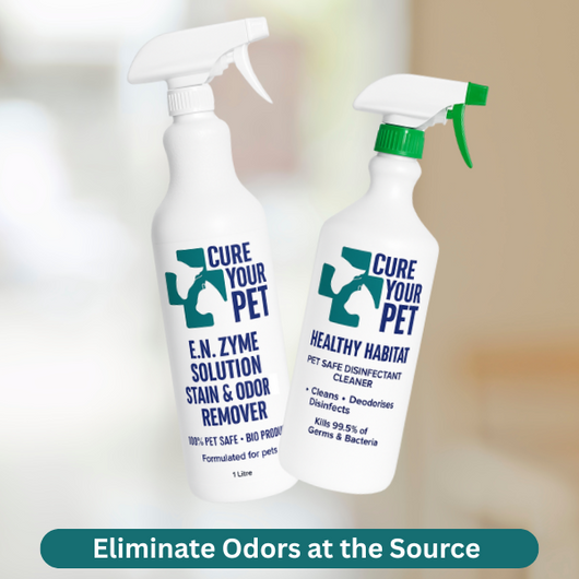 Urine Stain & Odor Remover
