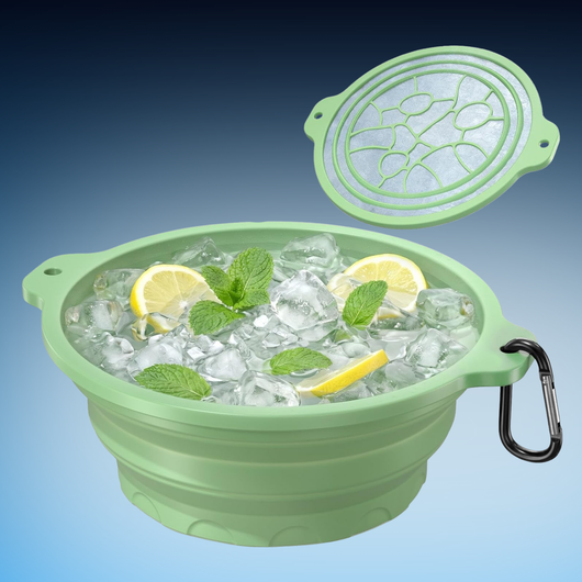 Facial Ice Bath Bowl with Built-in Tray