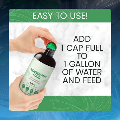 All-Purpose Houseplant Fertilizer Concentrate