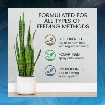 All-Purpose Houseplant Fertilizer Concentrate