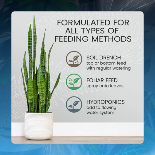 All-Purpose Houseplant Fertilizer Concentrate
