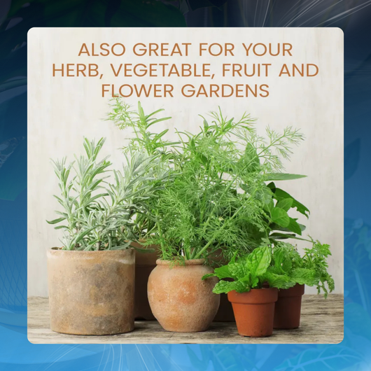 All-Purpose Houseplant Fertilizer Concentrate
