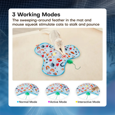 Hide and Seek Interactive Cat Toy