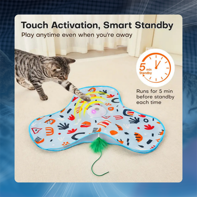 Hide and Seek Interactive Cat Toy
