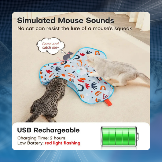 Hide and Seek Interactive Cat Toy