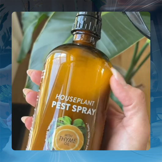 Houseplant Pest Spray