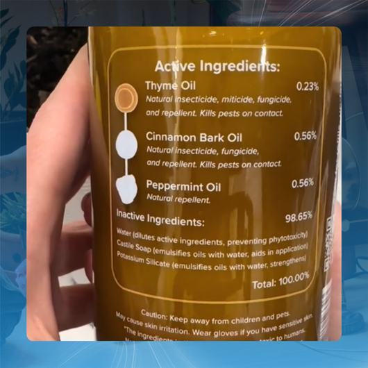 Houseplant Pest Spray