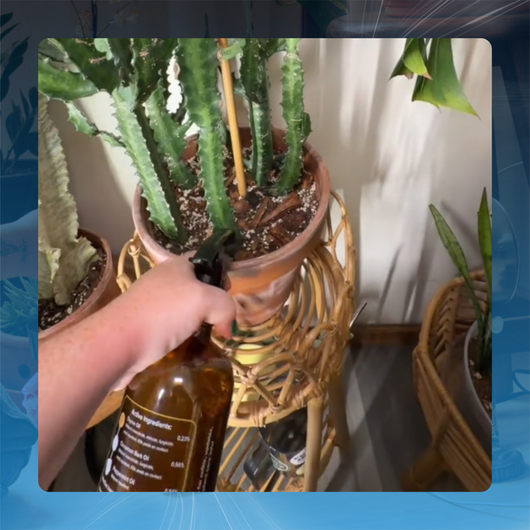Houseplant Pest Spray