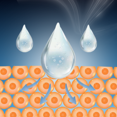 Fast-Absorbing Texture