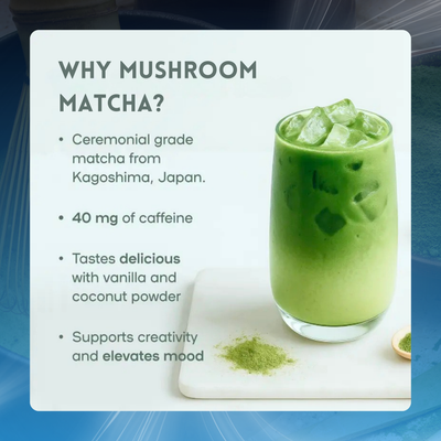 Mushroom Matcha Mind Boost Powder