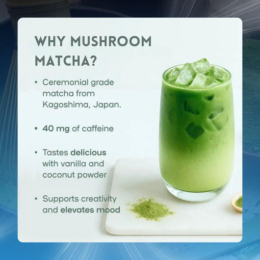 Mushroom Matcha Mind Boost Powder