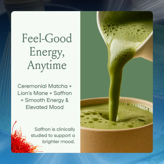 Mushroom Matcha Mind Boost Powder