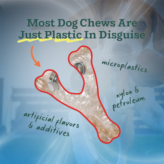 Natural Dog Chew Toy