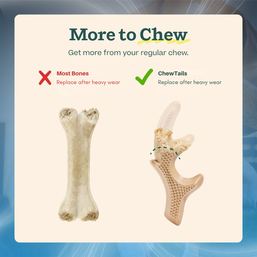 Natural Dog Chew Toy