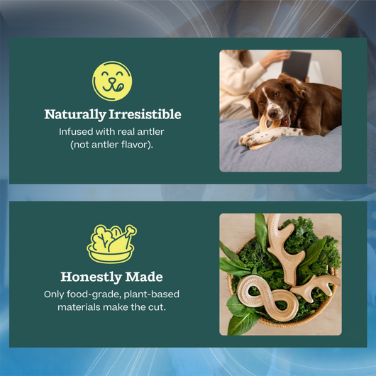 Natural Dog Chew Toy