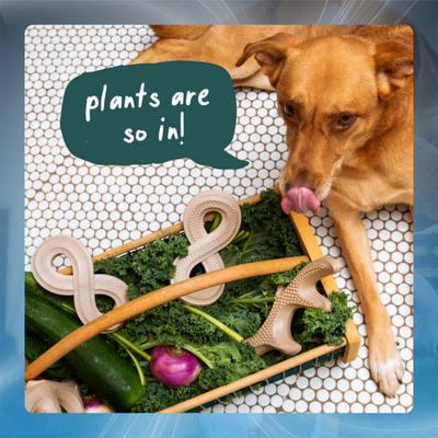 Natural Dog Chew Toy