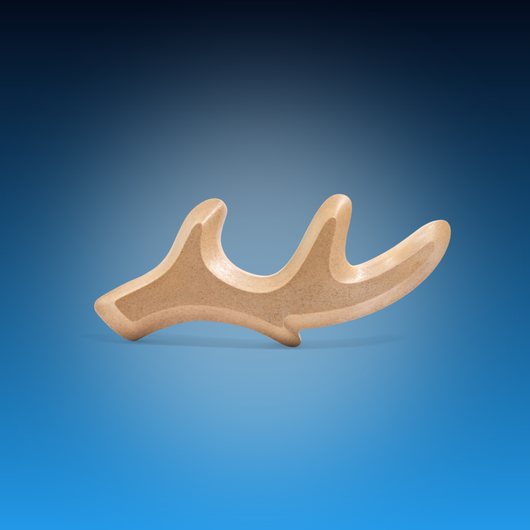 Natural Dog Chew Toy