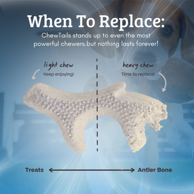 Natural Dog Chew Toy