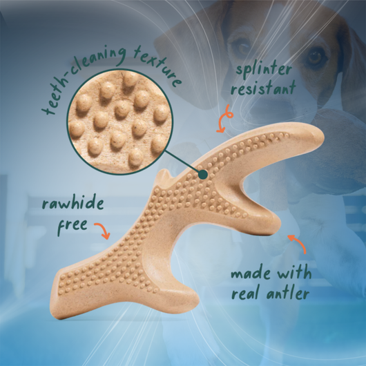 Natural Dog Chew Toy