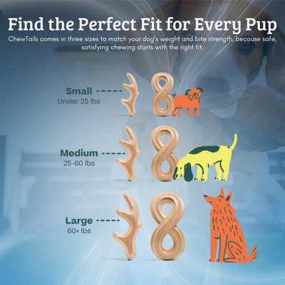 Natural Dog Chew Toy
