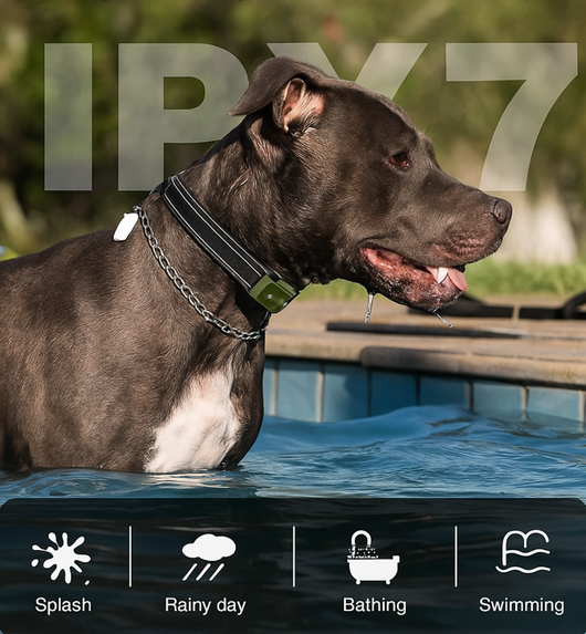 TrainPro Dog Training Collar