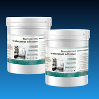 Transparent Waterproof Coating Sealant