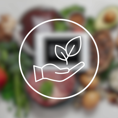 Clean and Allergy Friendly