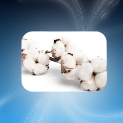 Soft, Medical-Grade Design