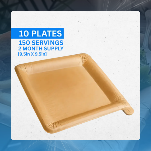 Disposable Peel-Off Paper Plate (10 Pack)