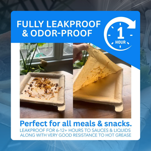 Disposable Peel-Off Paper Plate (10 Pack)