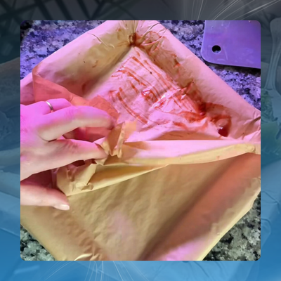 Disposable Peel-Off Paper Plate (10 Pack)