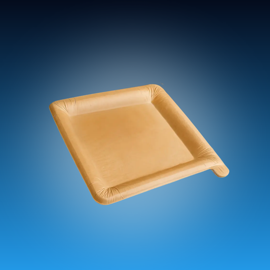 Disposable Peel-Off Paper Plate (10 Pack)