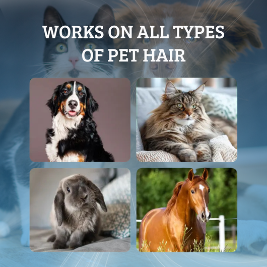 Pet Hair Dissolver Powder