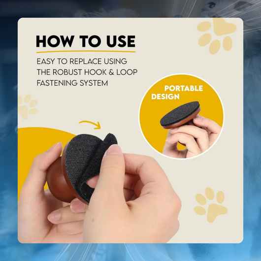 Pet Nail Smoothing Tool