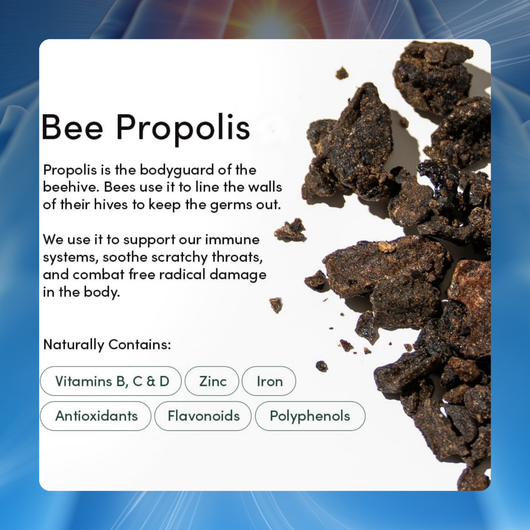 Propolis Sore Throat & Immune Spray
