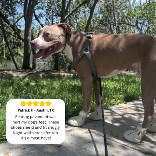 PaveSafe Dog Shoes